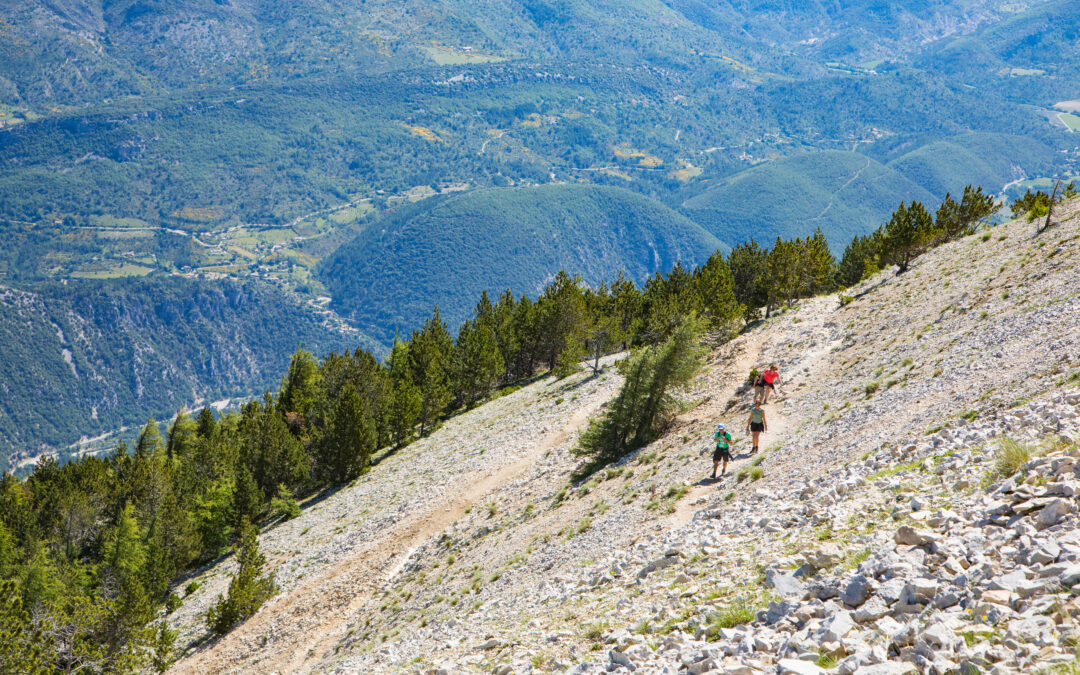 Randonnées autour du Domaine de Rhodes Beauté Naturelle de la Provence
