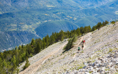 Randonnées autour du Domaine de Rhodes Beauté Naturelle de la Provence