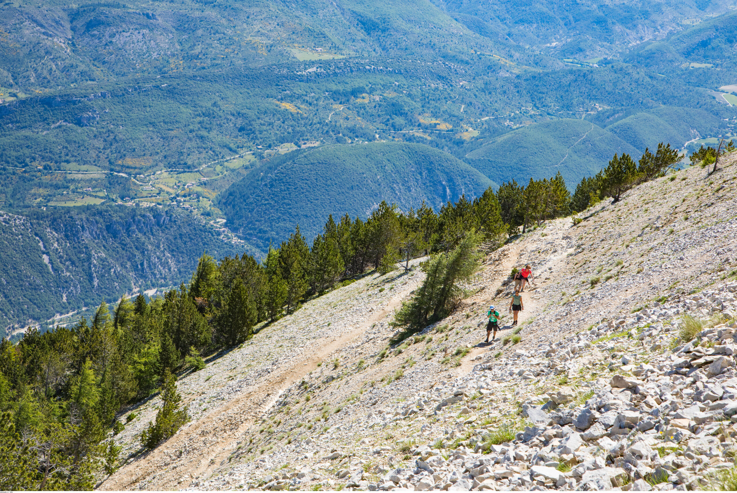 Expérience nature en montagne