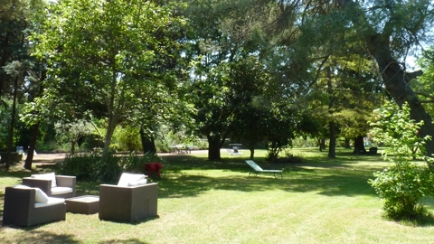 salon de jardin dans le parc arborées